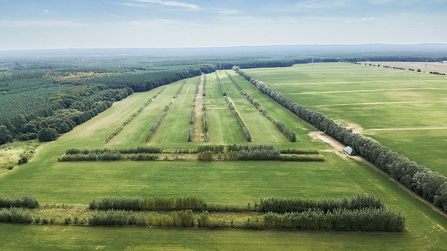 An aerial view of an agroforestry landscape with fields and tree lanes. 