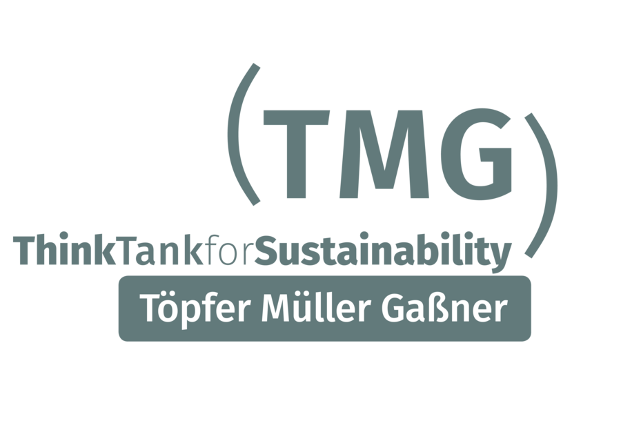 Logo des TMG Think Tank für Sustainability Abbildung 