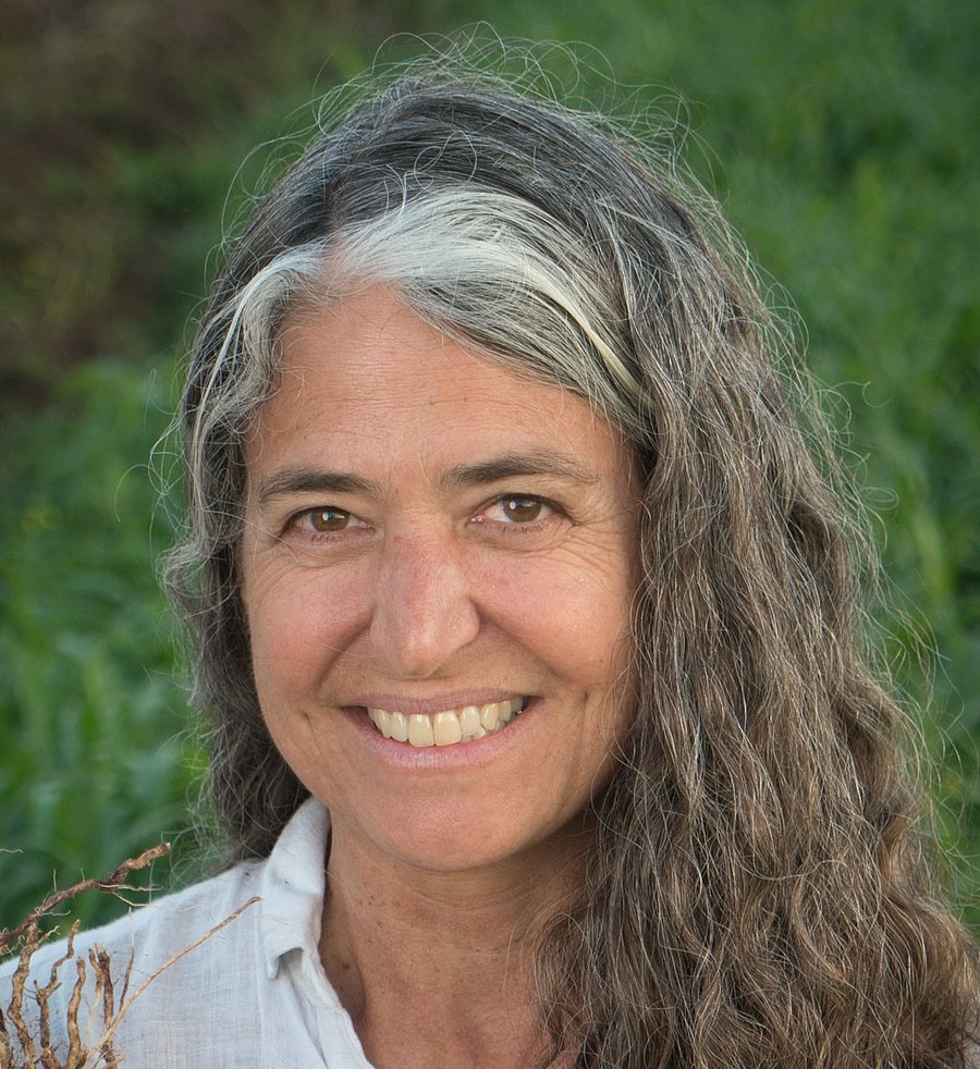 A photo of Deborah Bossio. It shows a white woman with long curly dark hair with grey streaks, wearing a white top standing outdoors in front of a green vegetation.
