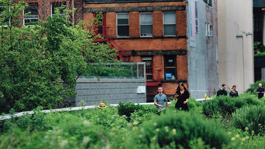 Zwei Menschen die durch die begrünte High Line in New York gehen, im Hintergrund ist die Fassade eines typischen Stadthauses.