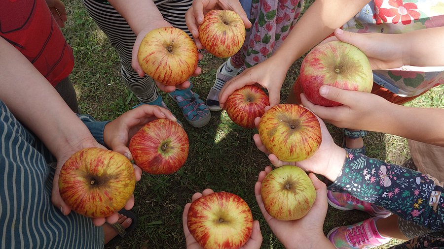 Kinder zeigen die Äpfel, die sie im Schulgarten geerntet haben. Das symbolisiert die Zusammenarbeit von vielen im Schulgarten