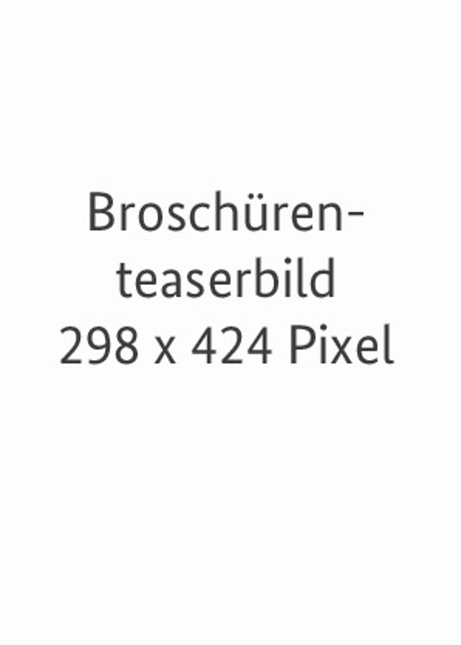 Beispielbild Broschürenteaserbild 298 mal 424 Pixel