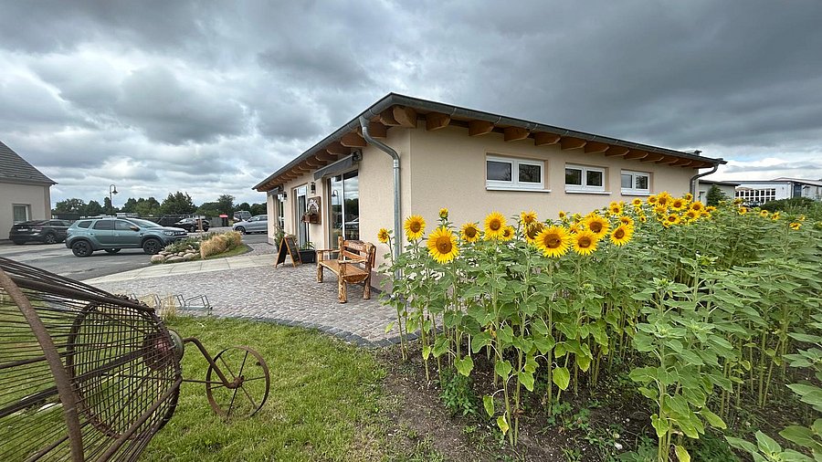 Farm shop of Agrargenossenschaft Groß Machnow, showing a beige building in the center of a farmyard. An old grain drum stands on a grassy area in front to the left, while a sunflower field fills the foreground to the right. Behind the building to the left is a parking lot with another structure and trees in the background; additional buildings are visible further to the right.