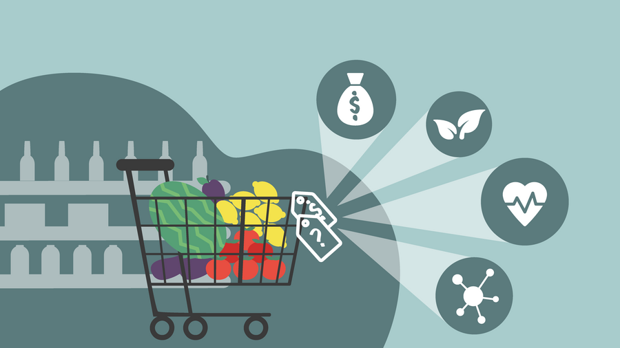 Die Bildliche Darstellung von True Cost Accounting zeigt einen Einkaufswagen mit Produkten wie Melone, Äpfel, Zitronen, Tomaten und Pflaumen mit Preisschildern vor einem Supermarktregal. Von diesem Einkaufswagen gehen Sprechblasen ab, die die 4 verschiedenem Kapitalkategorien darstellen, die bei True Cost Accounting berücksichtigt werden: produziertes Kapital (verbildlicht durch einen Geldsack), Naturkapital (verbildlicht durch eine Pflanze), Humankapital (verbildlicht durch ein Herz mit Vitalzeichen) und Sozialkapital (verbildlicht durch soziale Netzwerke)